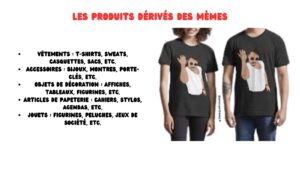 Infographie sur les différents types de produits dérivés des mèmes qui peut exister
