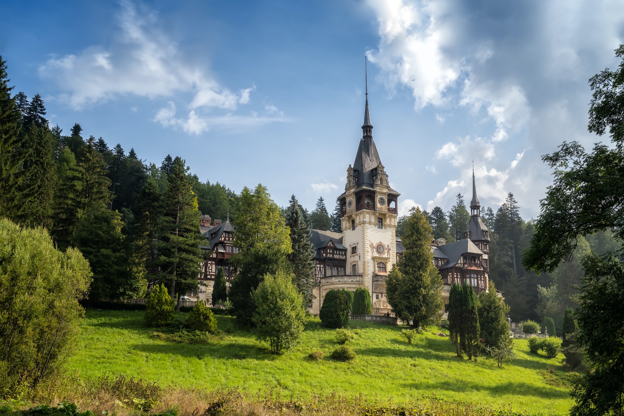 Superbe vue d'un château roumain