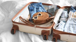 valise