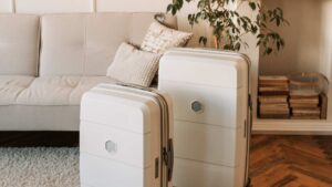 valise